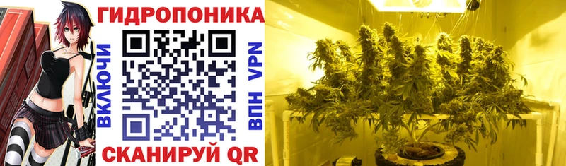 Цена Алагир hydra маркетплейс  Меф  СК  Бошки Шишки  COCAIN 