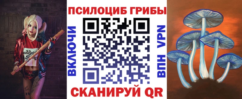 мега зеркало  как найти наркотики  Алагир  Галлюциногенные грибы Magic Shrooms 